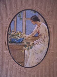 blog ungardeners pic